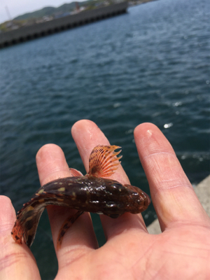 天気は良いけど…