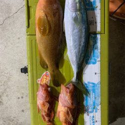 マイボートでアコウ狙い