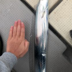 爆風前の短時間釣行