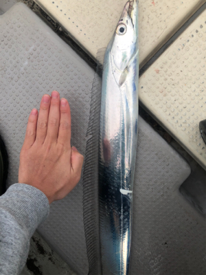 爆風前の短時間釣行