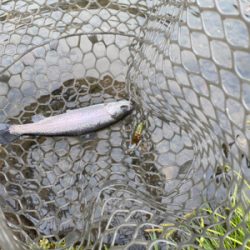 黒保根渓流フィッシング