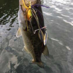 懐かしのロングビルミノー