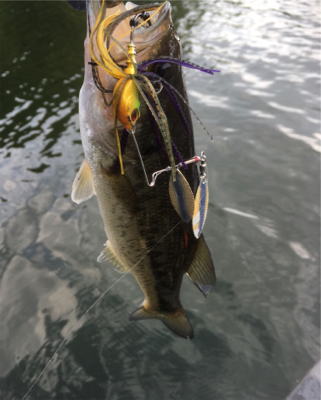 懐かしのロングビルミノー