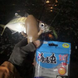 アジング練習　287　