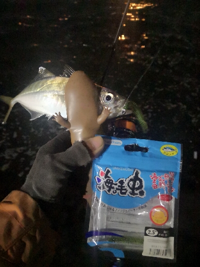 アジング練習　287　