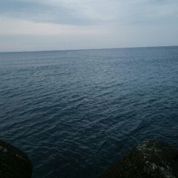 ヒラメ2枚。そして、竿折れる・・・