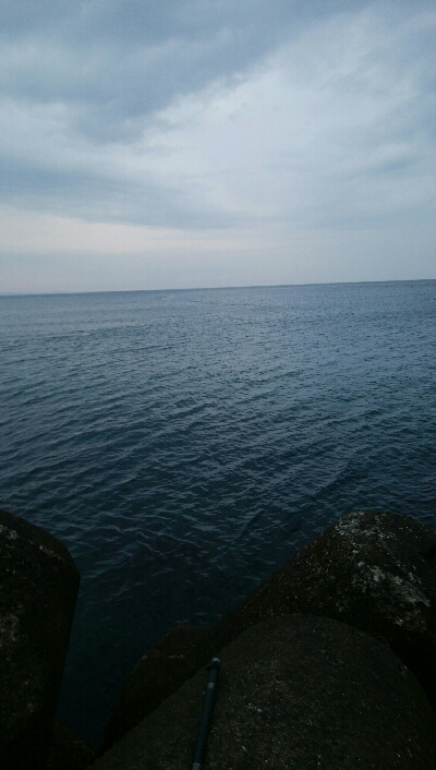 ヒラメ2枚。そして、竿折れる・・・