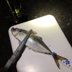 Newタックル釣行!