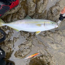 鱗付け&リベンジ釣行