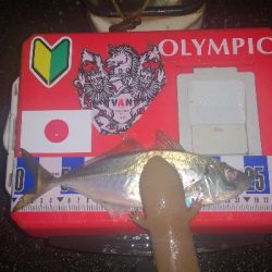 アジング練習　288　ゴーセン　ホンテロンエステルリーダー