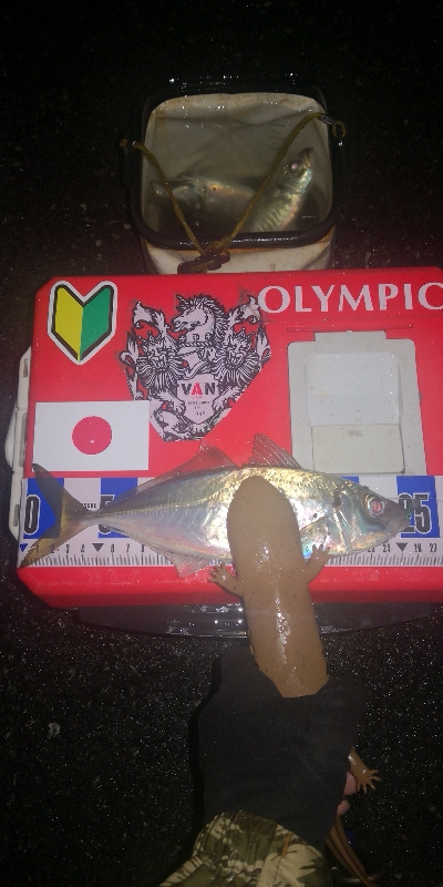 アジング練習　288　ゴーセン　ホンテロンエステルリーダー