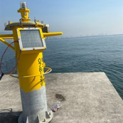 メジハラ参戦!!