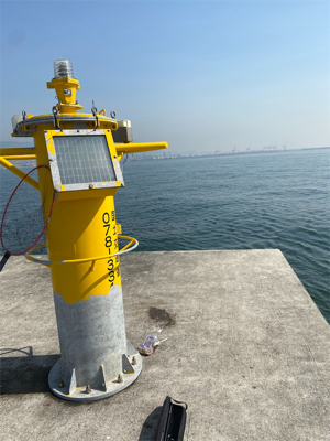 メジハラ参戦!!