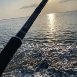 ラッキーです。