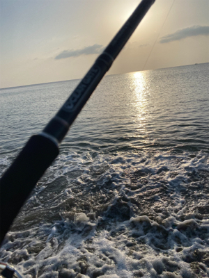 ラッキーです。