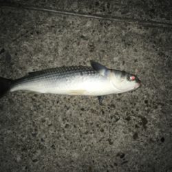 タイミングが合わない(*´Д｀*)