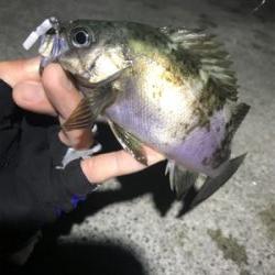 フロートメバリング