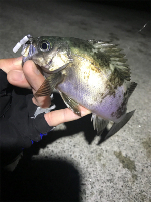 フロートメバリング