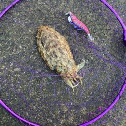 ここしか空いてなくて！