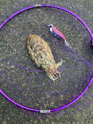 ここしか空いてなくて！