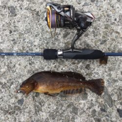 ライトゲームにまさかの…