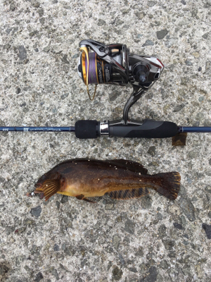 ライトゲームにまさかの…