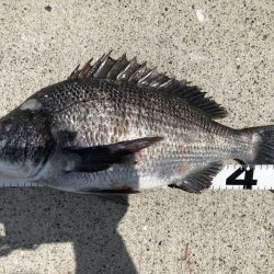 イチノ兄弟、釣果！