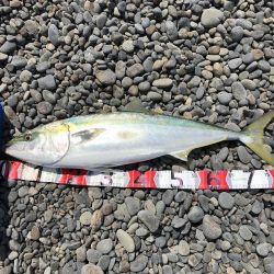 強風の中、ブリゲット