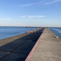 ブリフィーバー