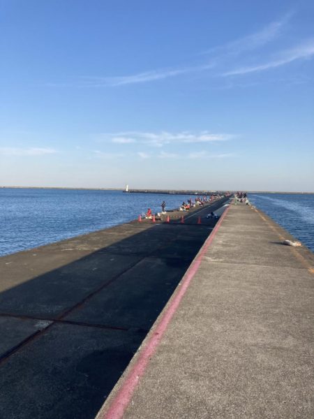 ブリフィーバー