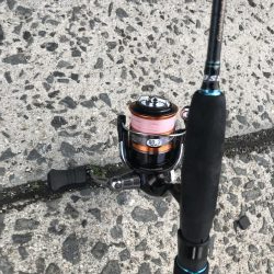 渋い朝のアジング