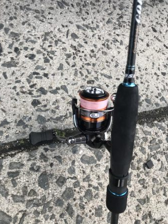 渋い朝のアジング