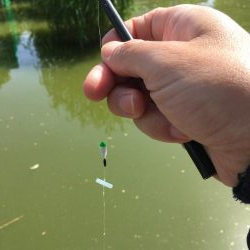 暴風のタナゴ釣り