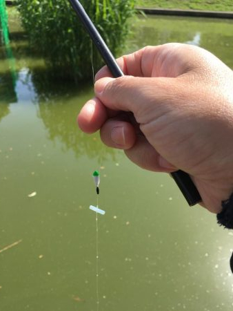 暴風のタナゴ釣り