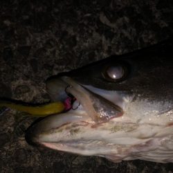 納得サイズでした!