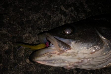 納得サイズでした!