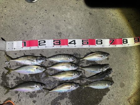 渋いながらも……