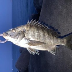 初めてのテトラ釣りに挑戦