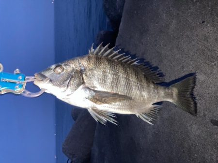 初めてのテトラ釣りに挑戦