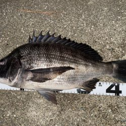 イチノ兄弟、釣果！