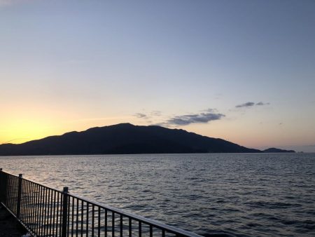 サゴシはどこへ…？