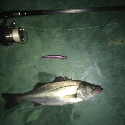 リベンジバチ抜け！