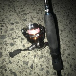 夕マズメのアジング好調