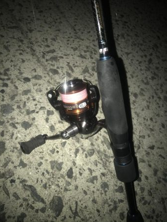 夕マズメのアジング好調