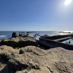 午後から激荒れ　グレ小さいの20匹　