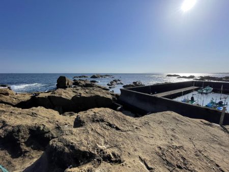 午後から激荒れ　グレ小さいの20匹　