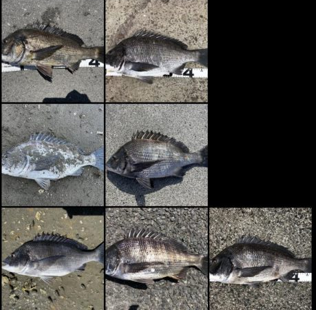 イチノ兄弟、釣果！