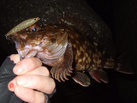 小潮でもメバルプラッギング