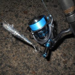 リアクションバイト?。