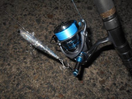 リアクションバイト?。